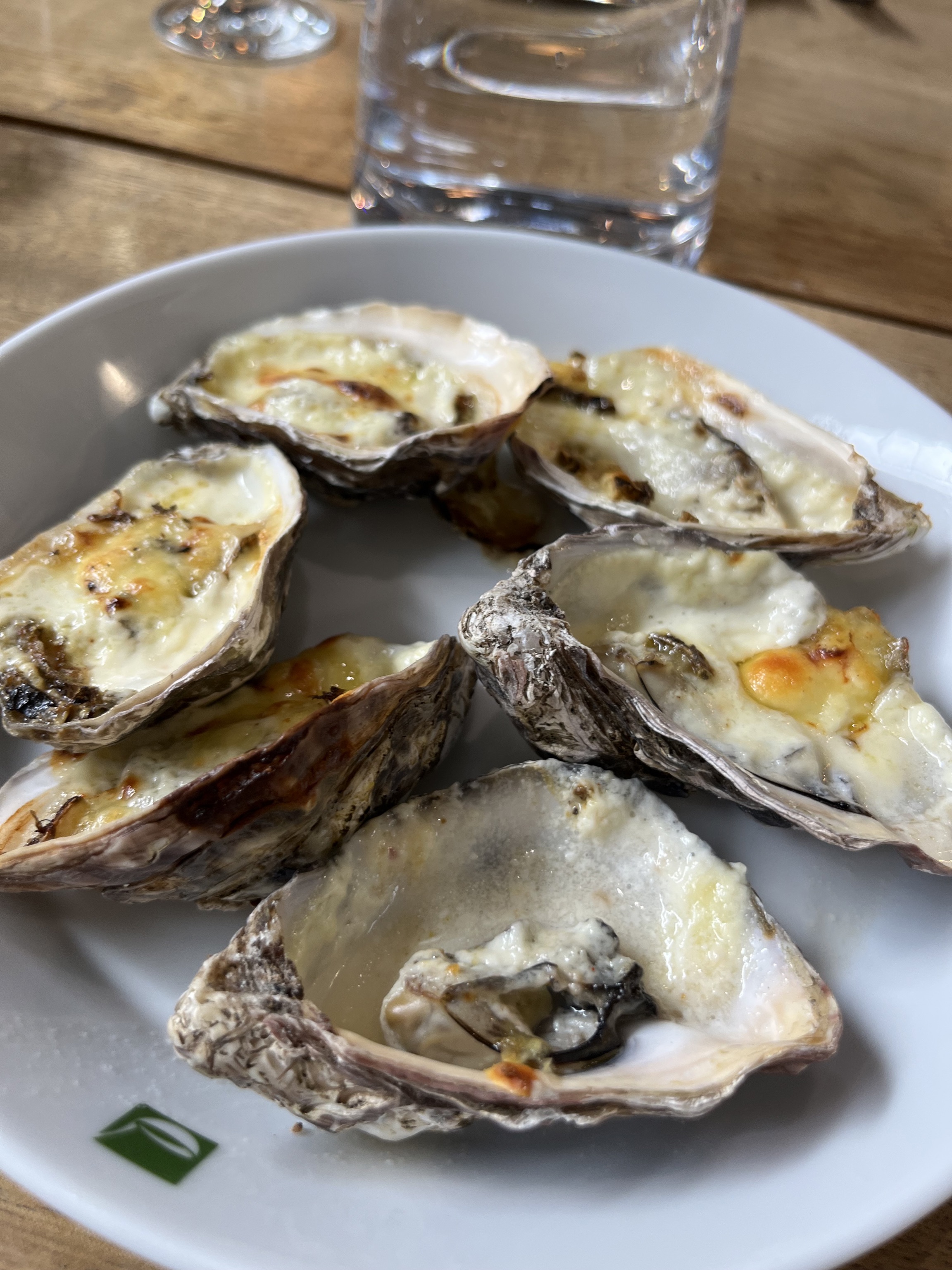 Auster Kochkurs Haus der Küchen